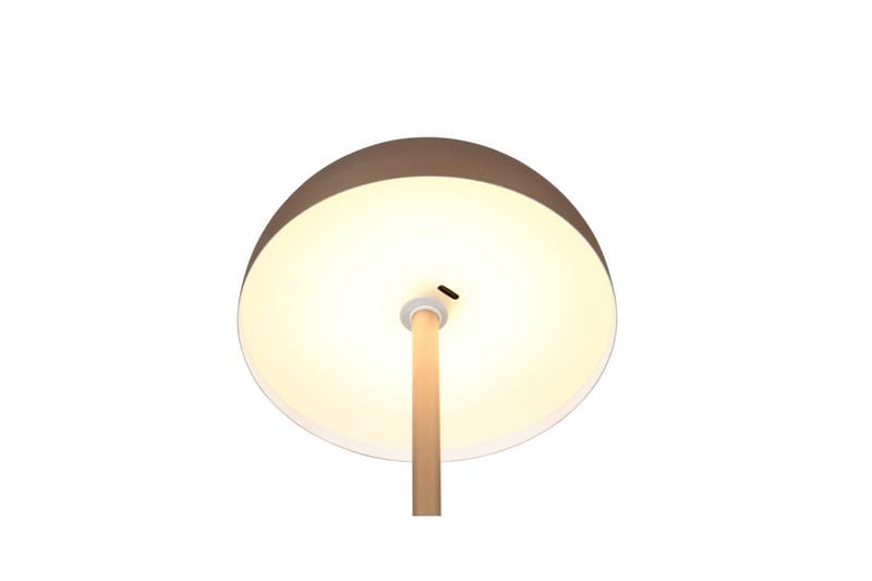 Bordslampa TRIO Munoz Kaffebrun - Kaffebrun - Products - Belysning - Lampor & belysning inomhus - Sovrumslampa - Sänglampa - Sängbordslampa