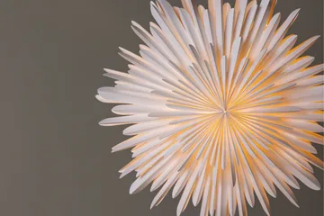 Sälen Adventsstjärna / Jullampa 60 cm - Vit - Products - Belysning - Julbelysning - Adventsstjärna