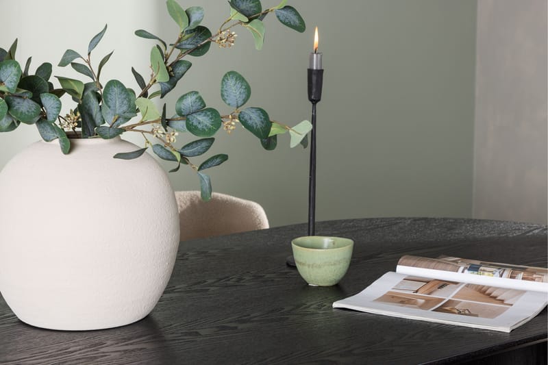 Isolde Matgrupp 180 cm Oval med 4 Modesto stolar - Beige - Products - Möbler - Bord & matgrupp - Matgrupp