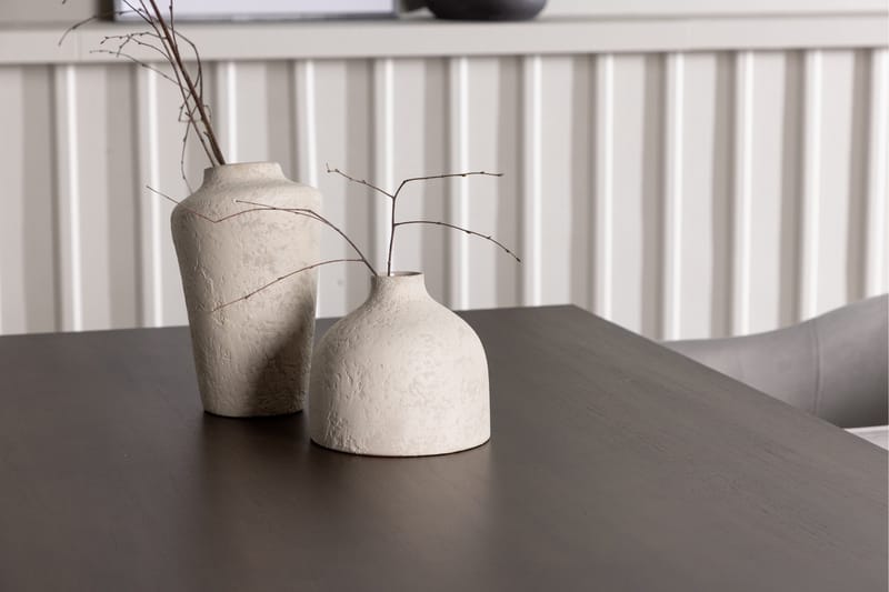 Kaseidon Matgrupp 120 cm Rektangulär med 4 Evelina stolar - Svart - Products - Möbler - Bord & matgrupp - Matgrupp