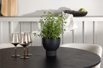 Olivia Matgrupp 110 cm Rund med 4 Edina Stolar - Svart - Products - Möbler - Bord & matgrupp - Matgrupp