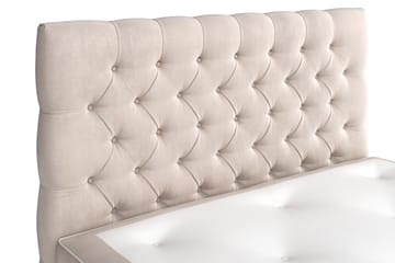Celine Sängpaket 120x200 cm - Beige/Sammet - Products - Möbler - Säng - Kontinentalsäng